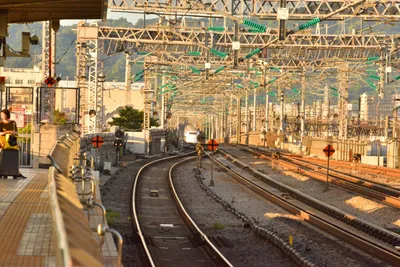 DSC_3773 (Large).JPG